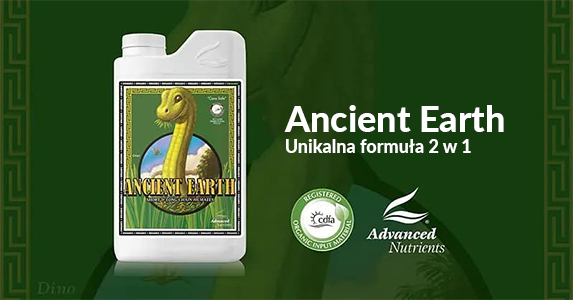 Ancient Earth