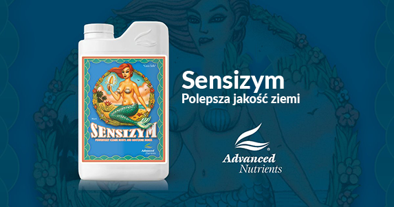 Sensizym