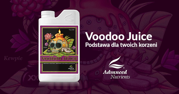 AN Voodoo Juice