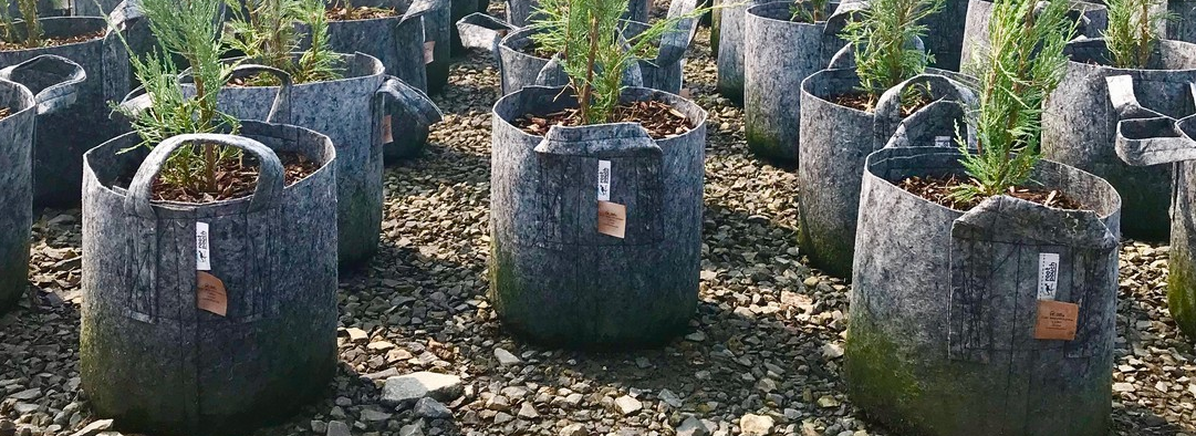 torby na rośliny