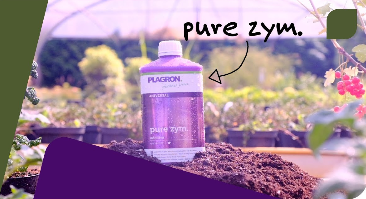 plagron_pure_zym