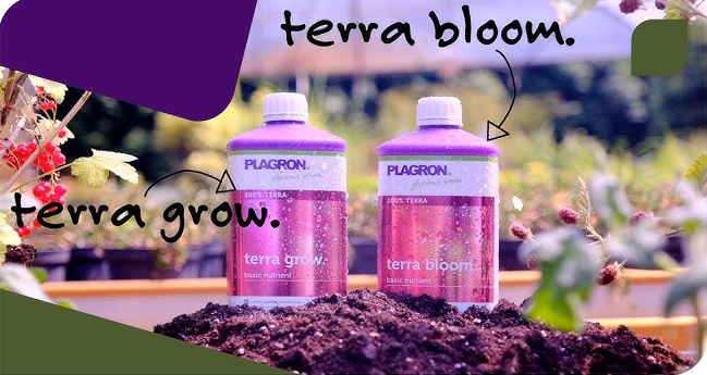 plagron_terra_grow_bloom