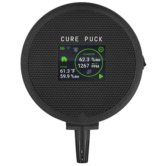 Twister Cure Puck - Inteligentny czujnik do automatycznego curringu suszu
