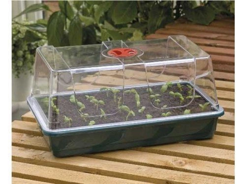 Propagator Garland z drenażem i wentylacją 37,5x23xh18cm