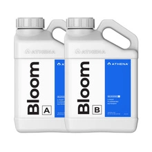 Athena Bloom A/B 946 ml - dwuczęściowy nawóz na kwitnienie dla każdego rodzaju uprawy