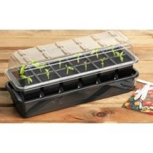 Samonawadniający propagator 37,5 x 13,5 x h16 cm Garland