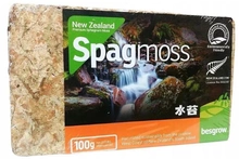 Besgrow Mech torfowiec Sphagnum Spagmoss 100G 8L