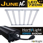 Lampa LED HortiLight June 720W 2.7 µmol/J 6x LED BAR Dimmable z zasilaczem Hortilight Ignis