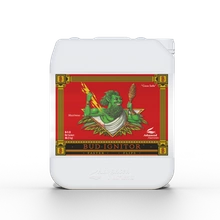 Advanced Nutrients Bud Ignitor 10L | przyspiesza przejście roślin do fazy kwitnienia