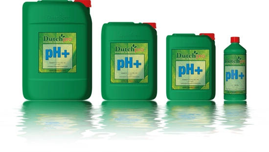 DutchPro ph plus 5L | Na podniesienie ph