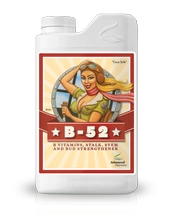 Advanced Nutrients B-52 1l | mieszanka 6 witamin i aminokwasów
