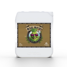 Advanced Nutrients BIG BUD COCO 5L | stymulator kwitnienia