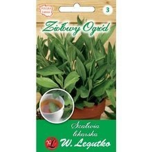 Szałwia lekarska/Salvia officinalis/1.00g