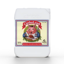 Advanced Nutrients CARBOLOAD 10L | węglowodany