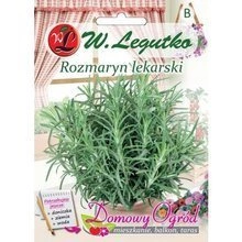 Rozmaryn lekarski  - Rosmarinus officinalis -