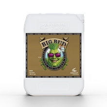 Advanced Nutrients BIG BUD COCO 10L | stymulator kwitnienia