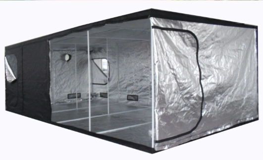 Growbox XXL 600x600x200cm namiot do uprawy