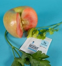 Integra Boost Terpene Essentials Terpinolene 4G 62% regulator wilgoci