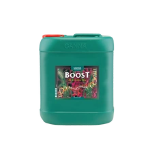 Nawóz Canna Boost 10L - stymulator kwitnienia zwiększający plony